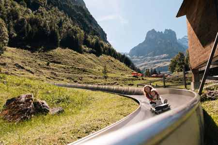 Bild für Kategorie Rodelbahn